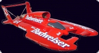 T-4  Twin Wing Hydroplane MS 1:10 Kohlefaser&Aramid